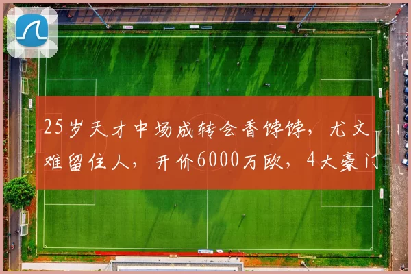 25岁天才中场成转会香饽饽，尤文难留住人，开价6000万欧，4大豪门疯抢_凯夫伦图拉姆_英超_欧冠