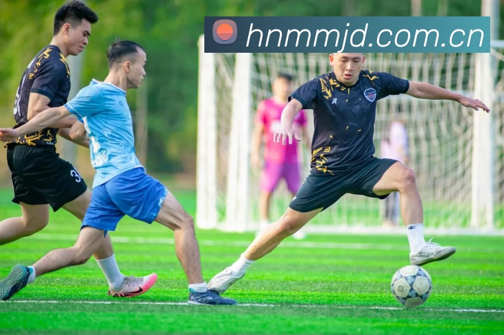 App Interface Preview